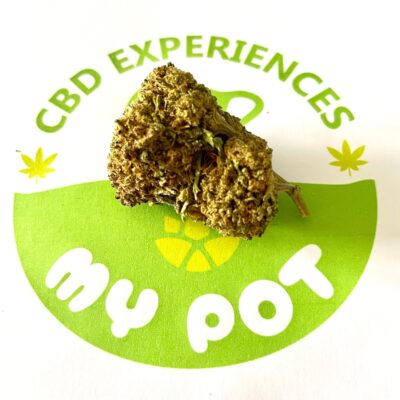 Chicle Flower CBD en Logo My Pot